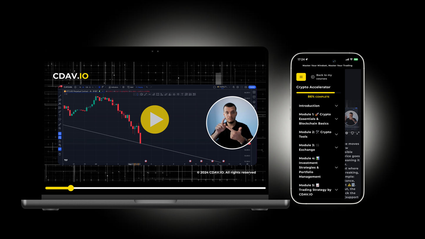 The CDAV.IO | Crypto Accelerator